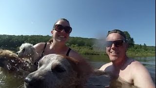 Swimming at Blue Mountain Lake with Sharon & the pups!