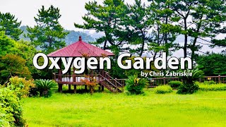 🔴 Oxygen Garden by Chris Zabriskie | Black Screen |8 Hours Relaxing Music | Ambient | Inspirational