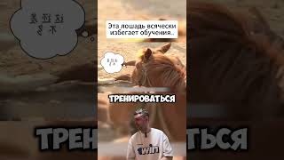 Интересно #апвоут #реддит #фильм