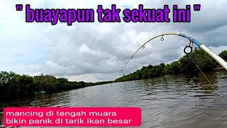 MANCING DI TENGAH MUARA BIKIN PANIK DI TARIK IKAN BESAR, umpan udang hidup