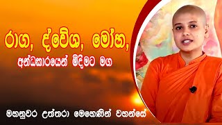 Dhamma Sermon | Kandy Uttara Mehenin Thero | Binara Poya | Seth Pirith | Pirith