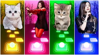 CUTE CAT JISOO FLOWER 🆚 BLACKPINK JISOO FLOWER 🆚 CUTE CAT FIFTY FIFTY CUPID 🆚 FIFTY FIFTY CUPID