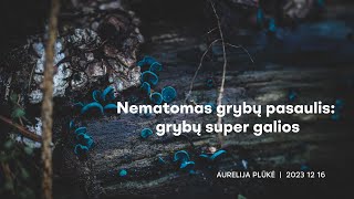 Paskaita: Nematomas grybų pasaulis: grybų super galios