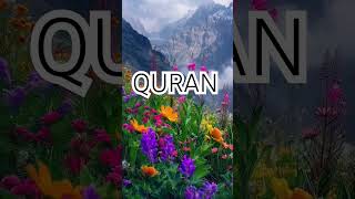 Surah Hajj Ayat No 73 urdu translation #shorts#video #islamic#short