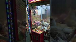 Live Cat in a claw machine ???!!!