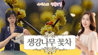 [#아녜스의행복찻집] 생강나무꽃차에서는 생강 향이 날까? / 생강나무꽃차의 효능 / 블렌딩 추천 / #다함께차차차시즌2 #보이는라디오