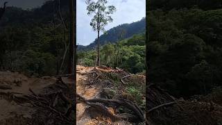 Kawah Ratu via Pasir Reungit Part 1