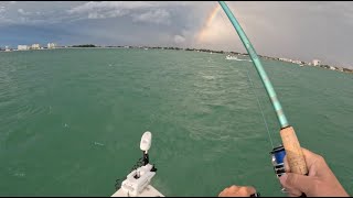 2023 Tarpon Chasing in Sarasota, Florida