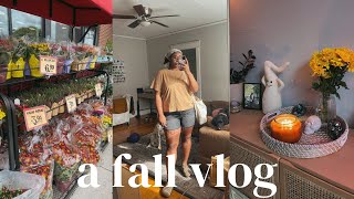 day in my life | Trader Joes fall haul + decorating for fall/spooky szn