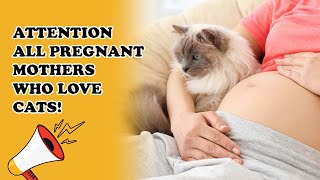 Attention all pregnant mothers who love cats!|Dr. Sunil Kumar G S|#pregnancytips #childcare #health