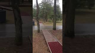 manni park | #tallinn #taltech #estonia #nature #naturewalk #rain #drizzling #youtubeshorts #shorts