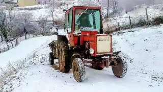 Трактор Т 25 в подъеме  полно гружанноми прицепом с капустой