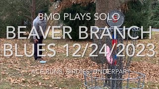 BMo Plays the Blues at Beaver Branch Disc Golf Course!