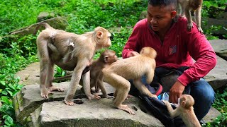 Uh monkey Libby isn't interesting in banana rambutan & brother help feeding kids to eat breakfast