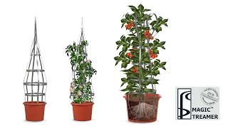 The 'Magic Treamer' the revolutionary new trellises