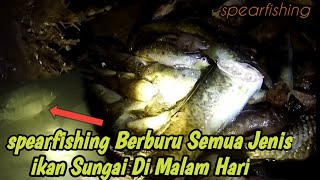 Spearfishing Berburu Semua Jenis Ikan Sungai Di Malam Hari