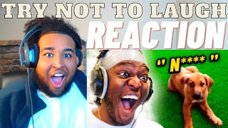 He's CANCELED! | KSI - A Racist Dog? (Try Not To Laugh) Funny Reaction