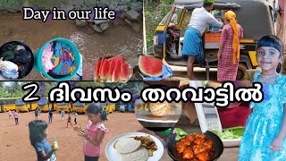 എല്ലാവരും ഒന്നിച്ച്‌ ഒരു ദിവസം /day in my life #villagelifestyle #hibusmedia