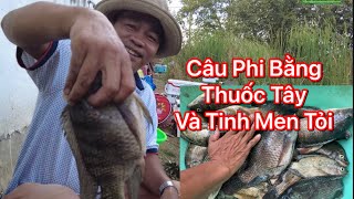 Câu Cá Phi Bằng Cám Trộn Thuốc Tây Và Cái Kết Cháy Lông Nách