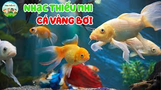 Nhạc Thiếu Nhi | Cá Vàng Bơi | Bé học động thực vật dưới nước | Ca nhạc thiếu nhi giúp bé thông minh