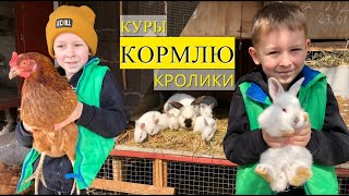 Кормлю своих домашних животных | Моё хозяйство