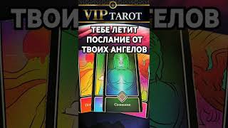 ❗❗❗Наши каналы 🎬 VK ☘️ ДЗЕН  📺 Rutube 👇 в описании  #тародлямужчин #гаданиетародлямужчин