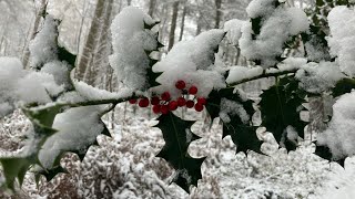 Holding the Light - Fractals of God