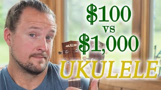 $100 vs. $1000 Ukulele | WHICH ONE SOUNDS BETTER TO YOU?