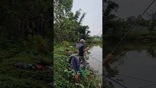 3 cần lên cá cùng 1 lúc quá phê #huynhvananfishing #cauca #caucagiaitri