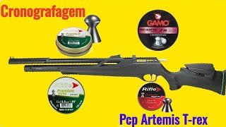 Pcp t-rex cronografagem com 4 chumbos diferente