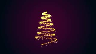 Intro Christmas Tree Stock Video | Background Video