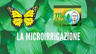 Mr Green e la microirrigazione