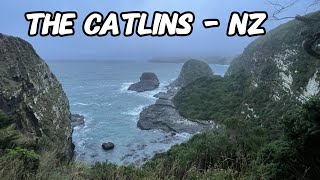 Fighting the Weather While Checking out the Catlins