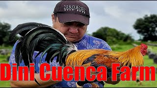 Lets Visit The Farm Of Dini Cuenca Gamefarm