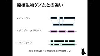 IIBMP2020 セッション2-2 坂本美佳（NIG）「真核生物ゲノム解析」(1)真核生物と原核生物のゲノムの違い