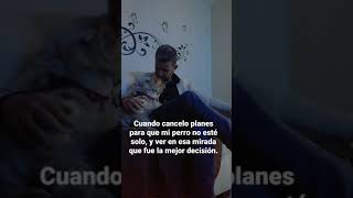 El mejor plan para ti y tu perro.