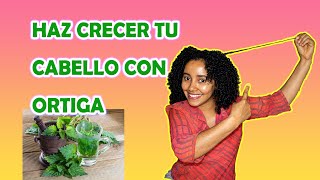 ACELERA EL CRECIMIENTO DE TU CABELLO CON LA INFUSION DE ORTIGA 🍃🍃😱