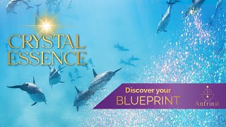 Crystal Essence✨ 🌊  Connect to Atlantis, Dolphins, Ocean, Crystal Light