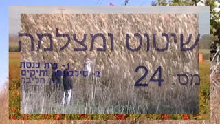 שיטוט ומצלמה 24