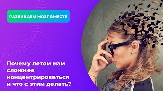 Почему летом нам сложнее концентрироваться и что с этим делать?