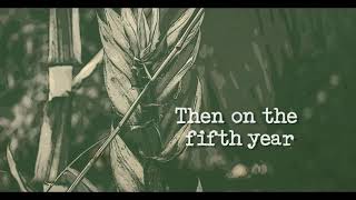 Chinese Bamboo Tree Motivational Story