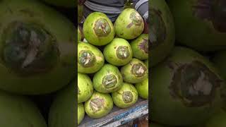 Fresh Coconut Cutting Skill 🥥 | Famous Dabh Water #shorts​ #coconut​