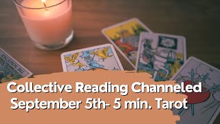 Fast Information Creates Change - September 5th 2024 - Daily 5 Minute Tarot Reading