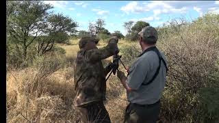 Eland hunt Africa Namibia