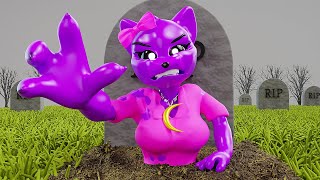 CatNap Spent 3 Days Buried Alive - Poppy Playtime Chapter 3 Animation!