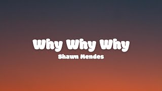 Shawn Mendes - Why Why Why (lyrics)