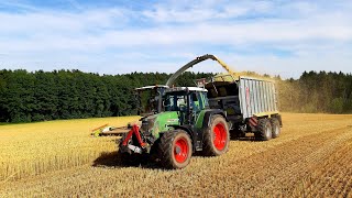 Ganzpflanzensilage 2019 | 4x Fendt Power | Claas Jaguar 940 | Fendt, Claas, Fliegl, Pronar