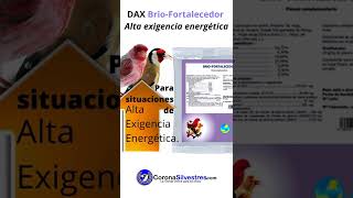 DAX Brio Fortalecedor Alta exigencia energética