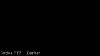 Sativa BTZ — Barber