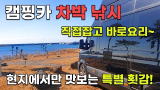 캠핑카 차박 풀치 낚시! 잡자마자 바로 회 떠먹기🍣 최고의 안주!